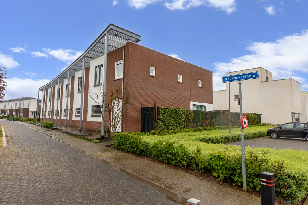 Foto 2 van Koekoeksbloem 62