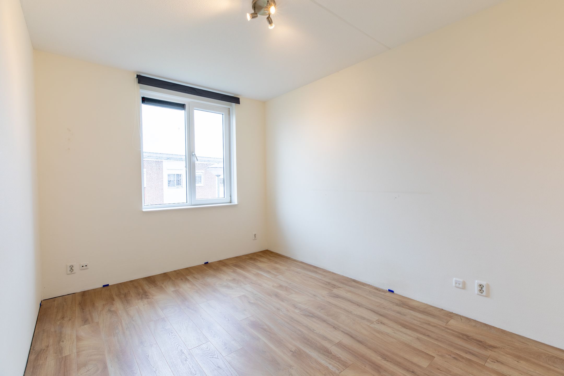 Foto 12 van Koekoeksbloem 62