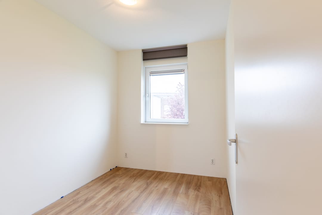 Foto 13 van Koekoeksbloem 62