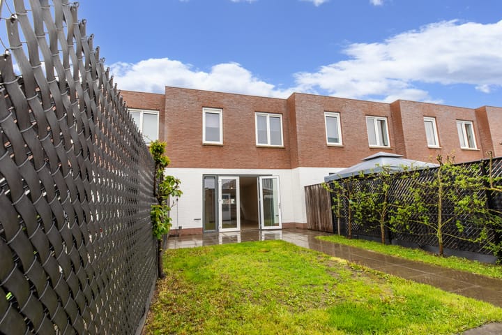 Photo 16 of Koekoeksbloem 62