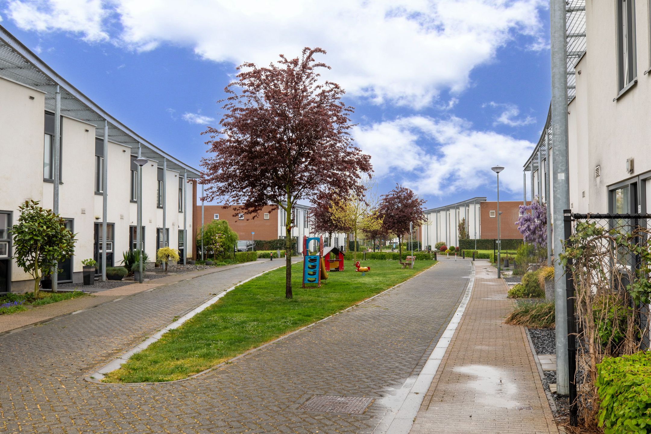 Foto 18 van Koekoeksbloem 62