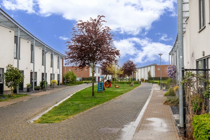 Photo 18 of Koekoeksbloem 62