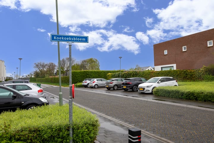 Photo 19 of Koekoeksbloem 62