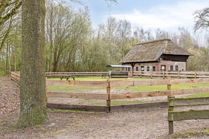 Foto 18 van Geranium 74