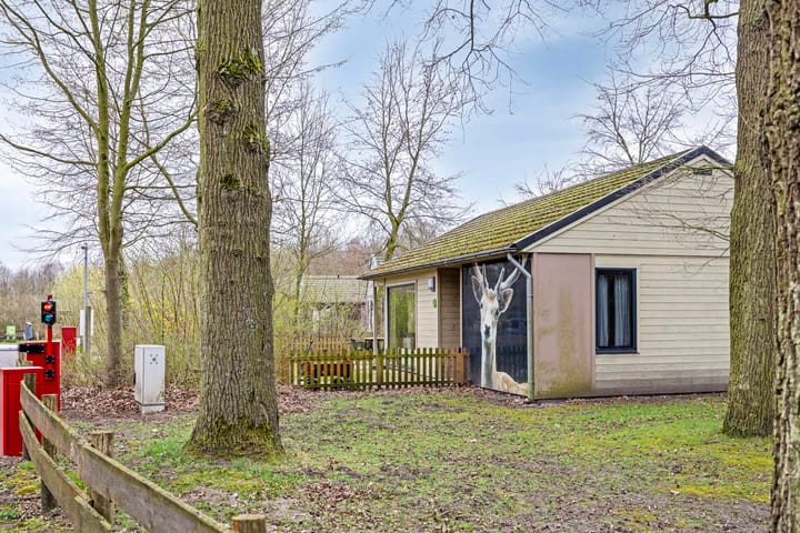 Foto 19 van Geranium 74