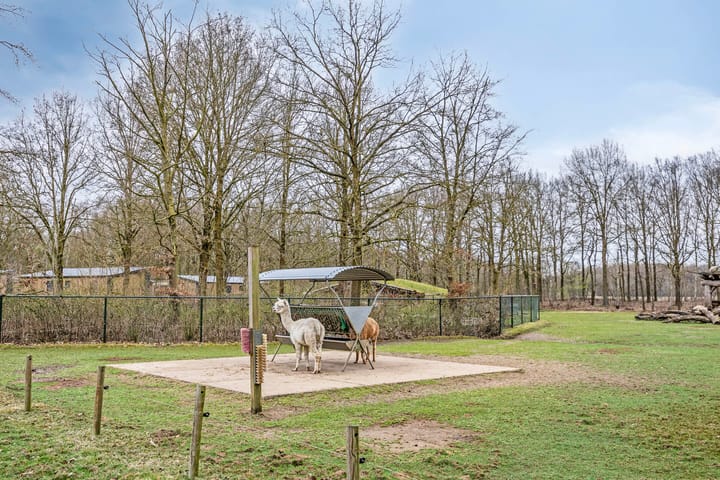 Foto 23 van Geranium 74