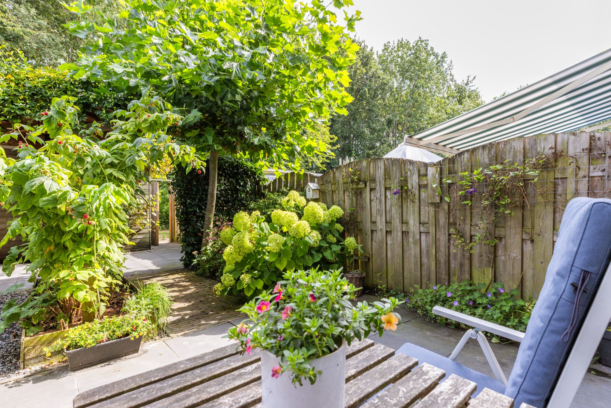 Foto 30 van Januaristraat 118