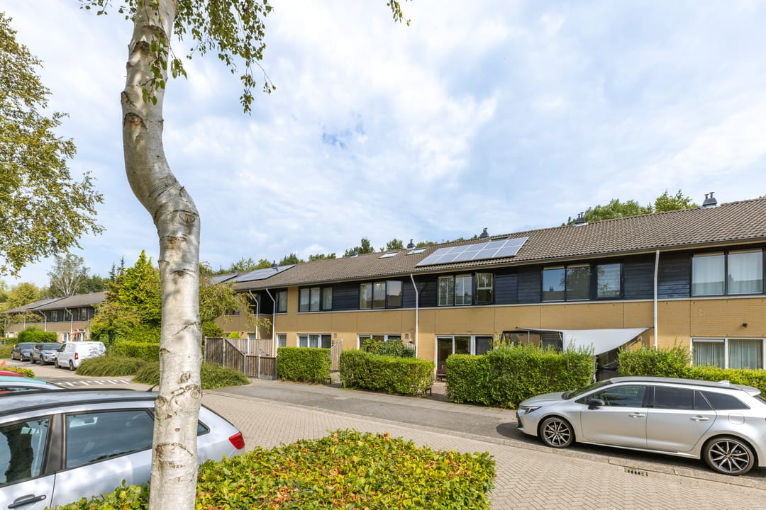 Foto 41 van Januaristraat 118