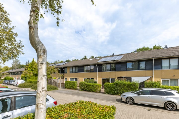 Foto 41 van Januaristraat 118