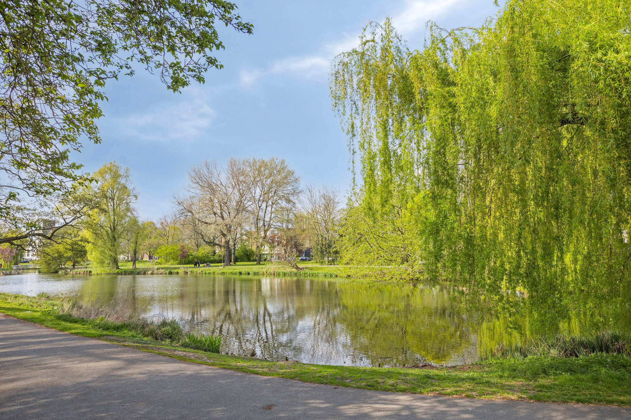 Photo 54 of Celebesstraat 30-A