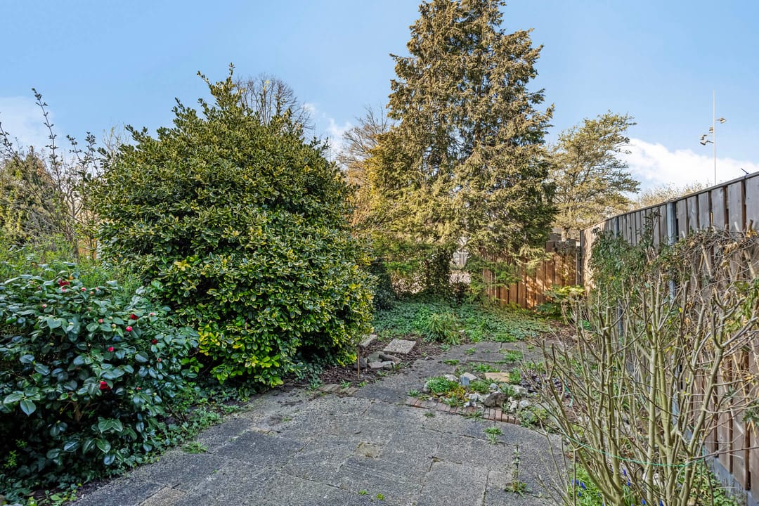 Foto 11 van Pisuissehof 11