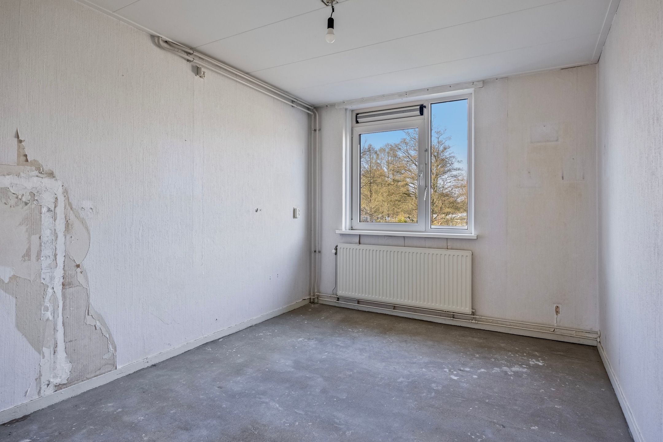 Foto 18 van Pisuissehof 11