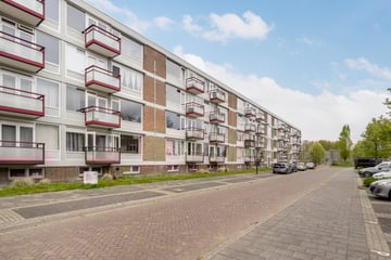 van Viandenstraat thumbnail