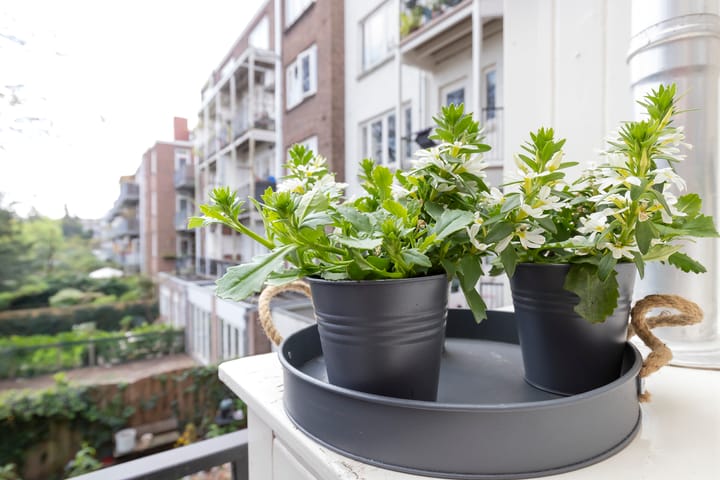 Foto 16 van Amstelkade 3-1