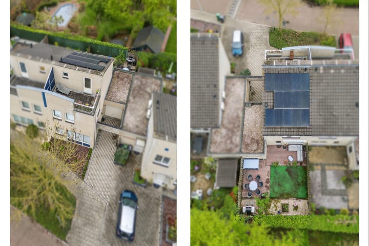 Photo 3 of Honingklaver 28