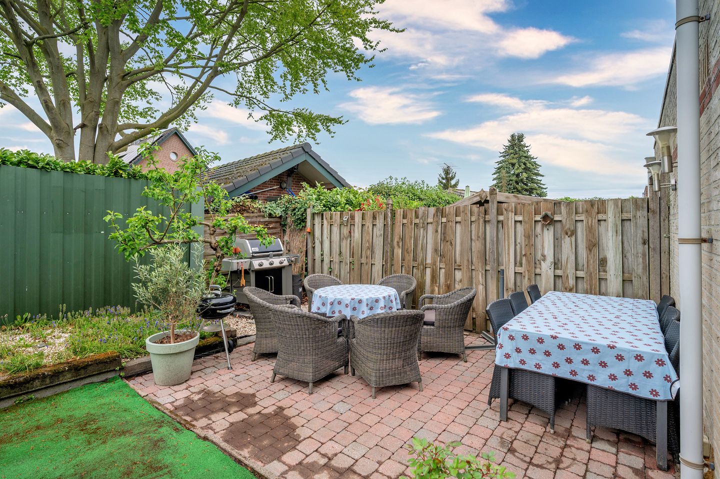 Foto 40 van Honingklaver 28