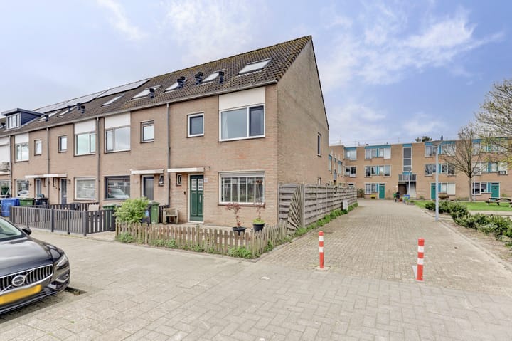 undefined main image