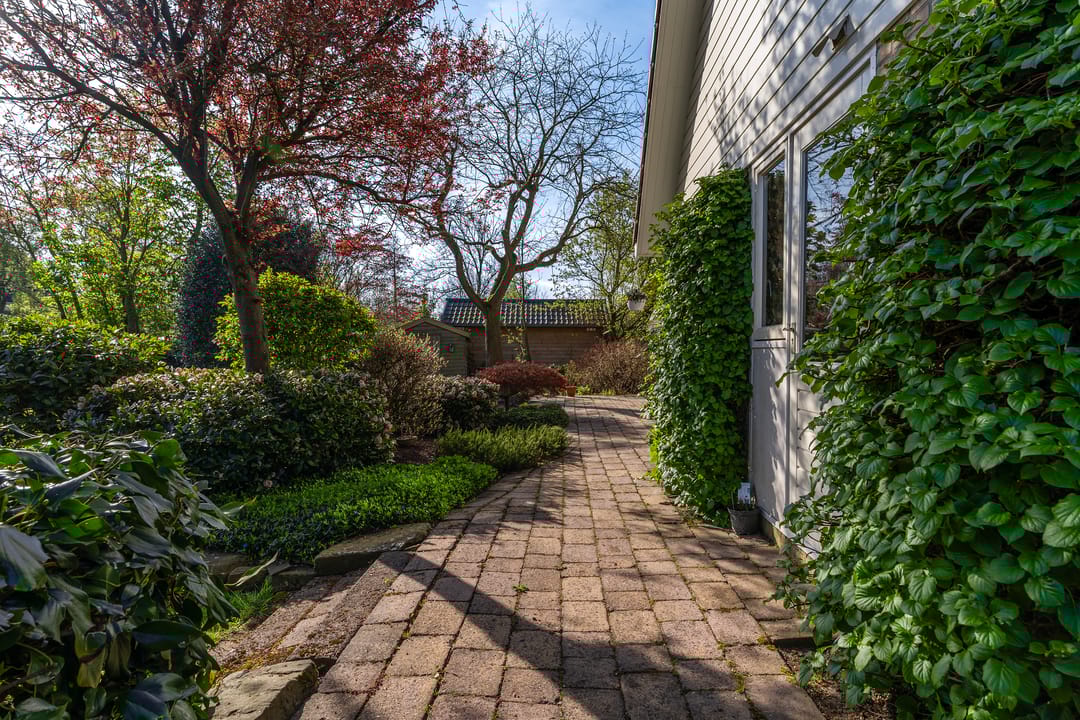 Foto 37 van H.Mensonidesstrjitte 26