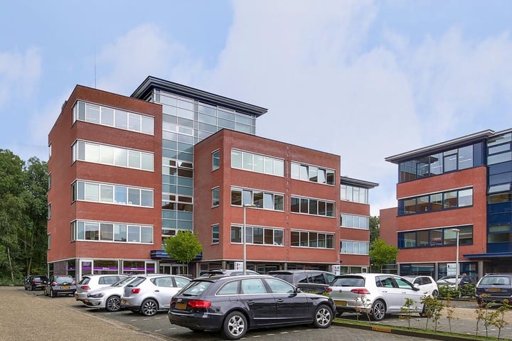 Robijnstraat 42