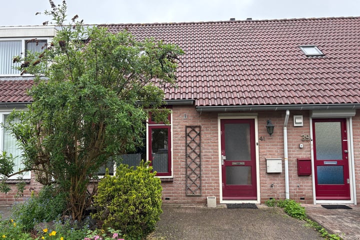 Vanghoutstraat 41