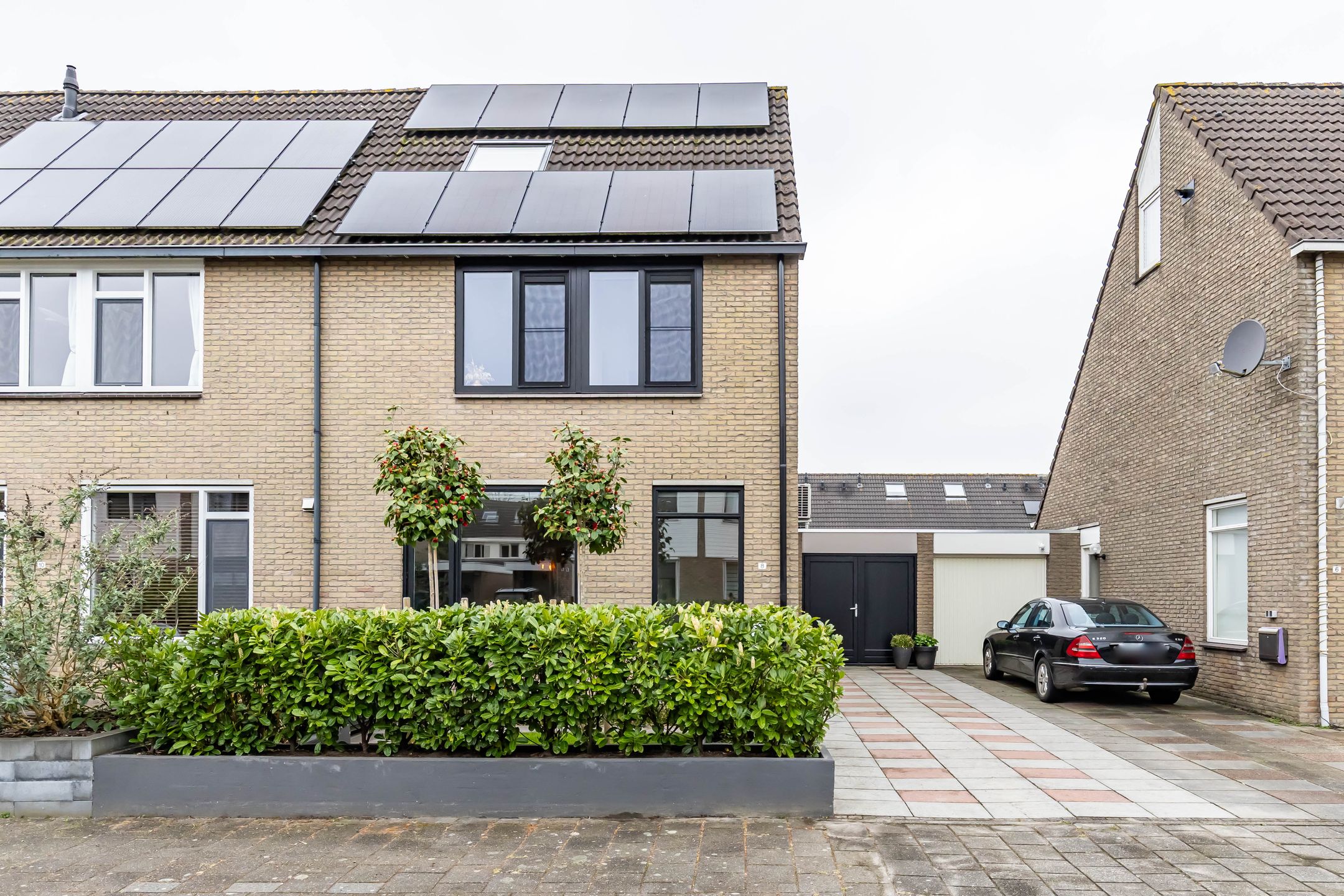 Foto 6 van Jarigsmastins 8