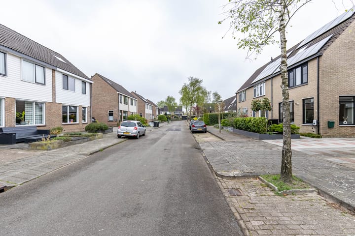 Photo 8 of Jarigsmastins 8