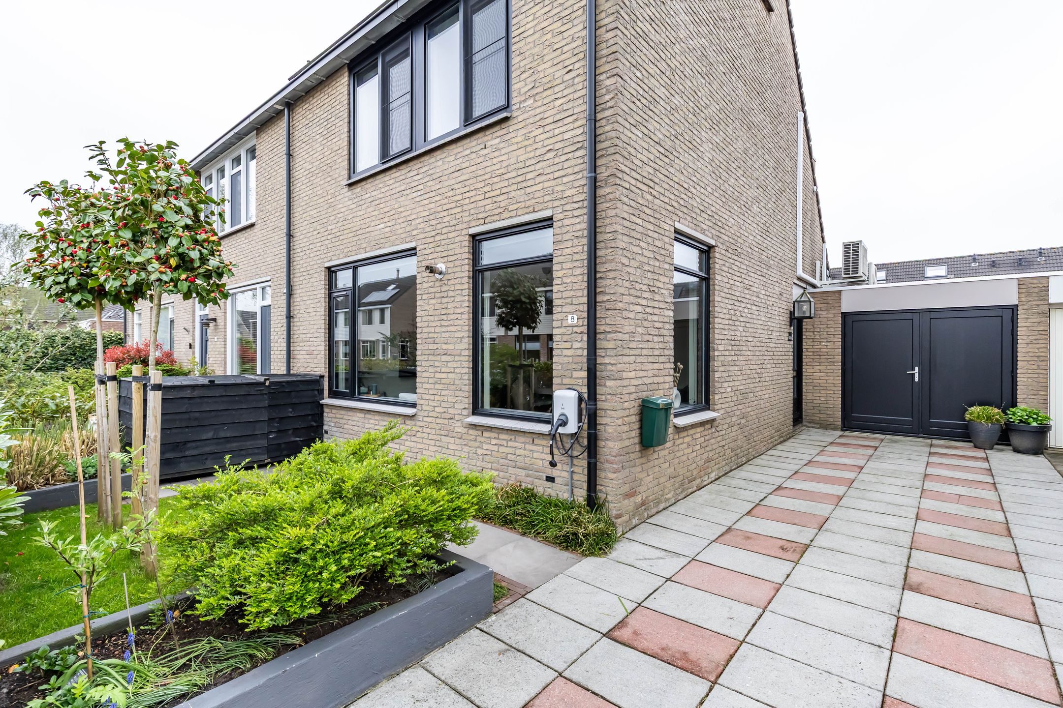 Foto 9 van Jarigsmastins 8