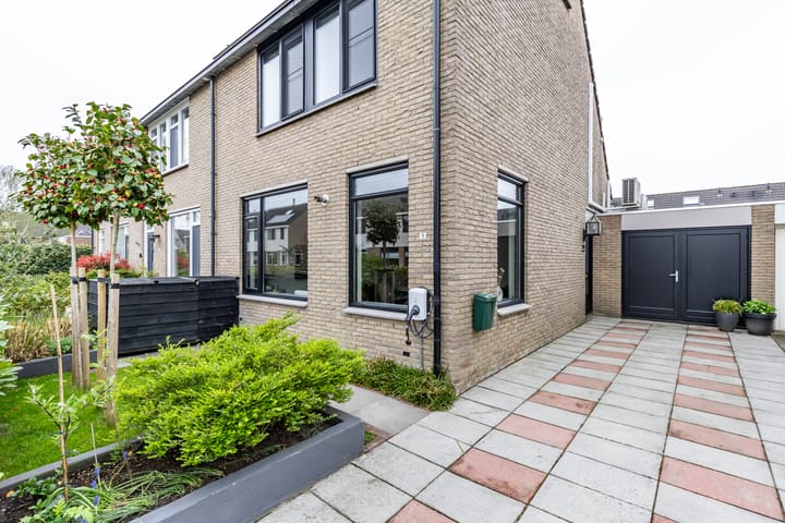 Photo 9 of Jarigsmastins 8