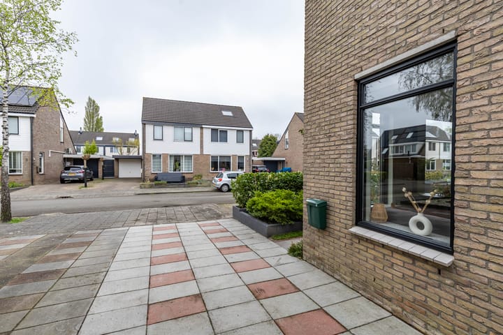 Photo 11 of Jarigsmastins 8