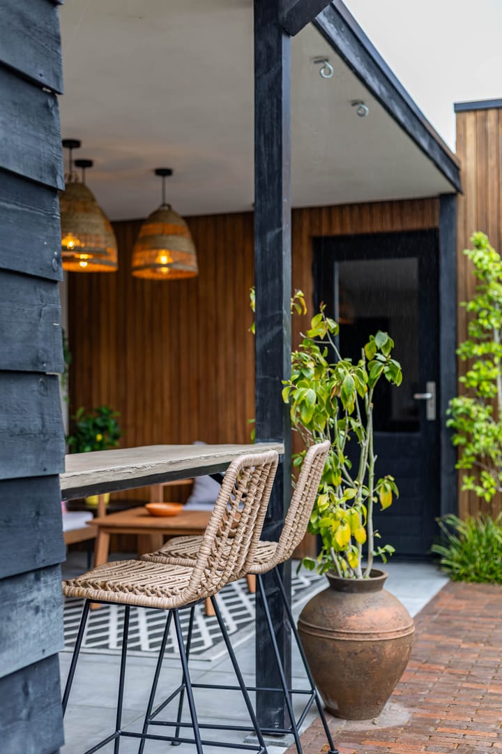 Photo 52 of Jarigsmastins 8