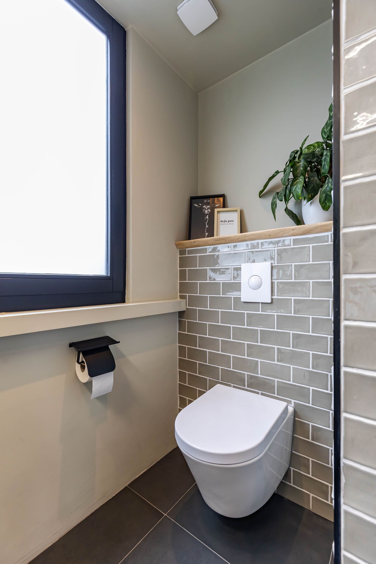 Foto 65 van Jarigsmastins 8