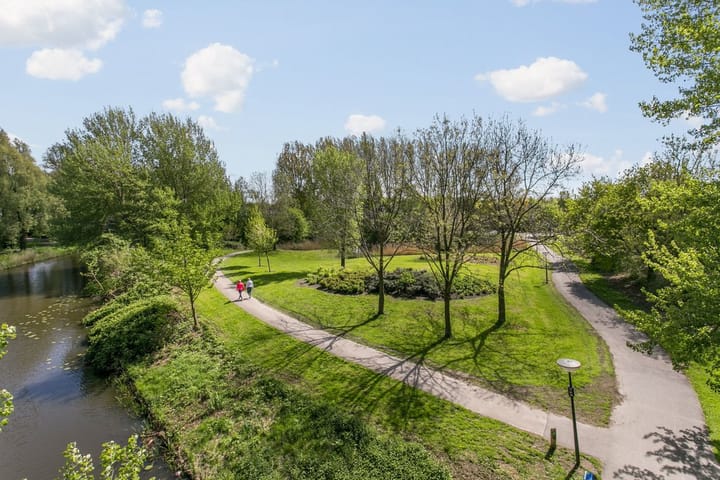 Photo 75 of Jarigsmastins 8