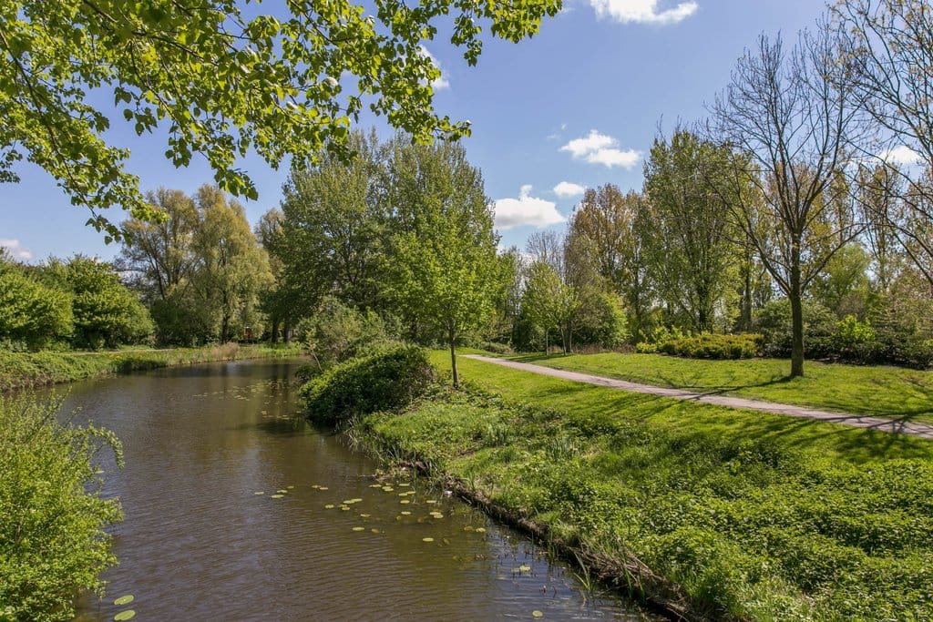 Foto 76 van Jarigsmastins 8