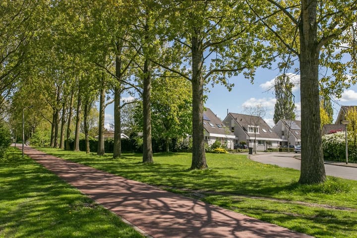 Photo 77 of Jarigsmastins 8