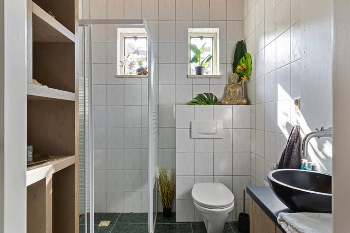 Foto 21 van Snavelbiesstraat 6