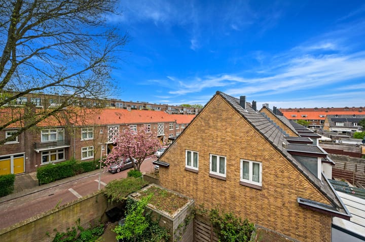 Foto 44 van Van Maerlantlaan 21