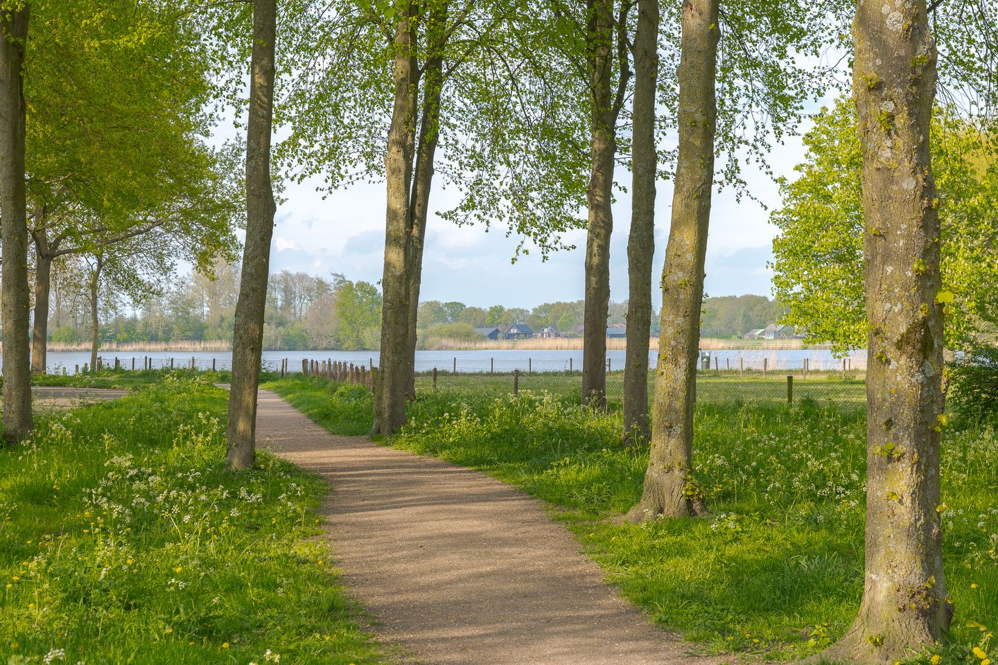 Foto 5 van Punterdiep 65