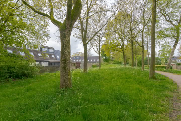 Foto 24 van Punterdiep 65