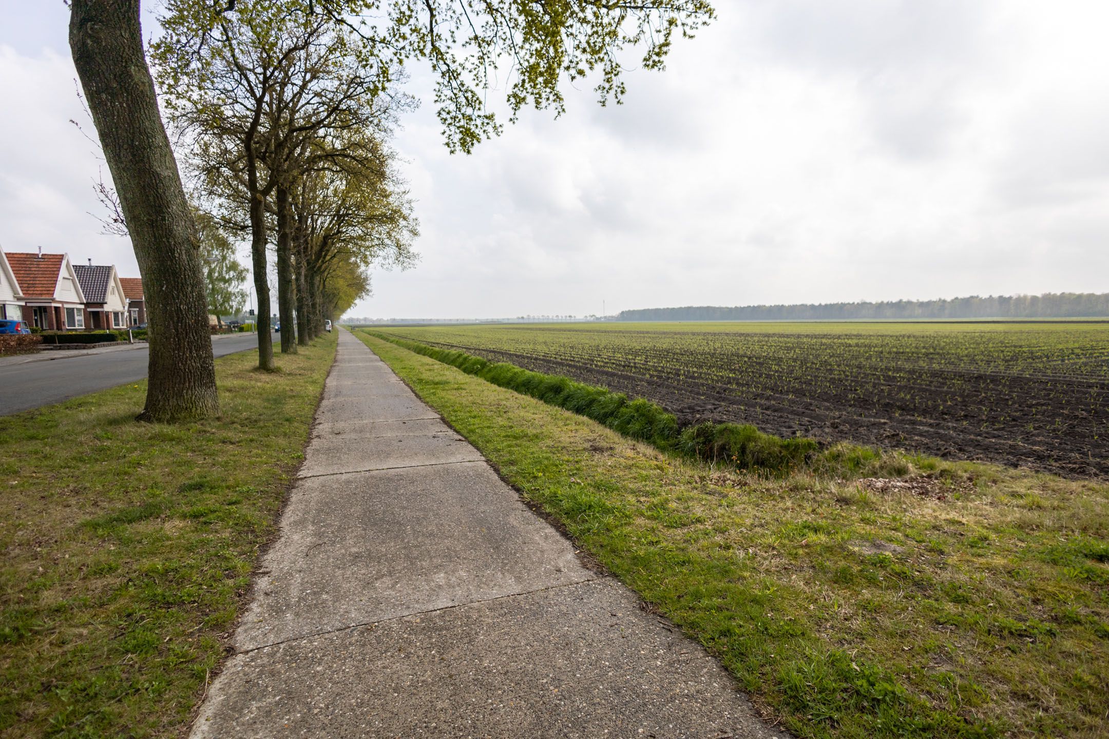 Photo 36 of Wedderweg 113