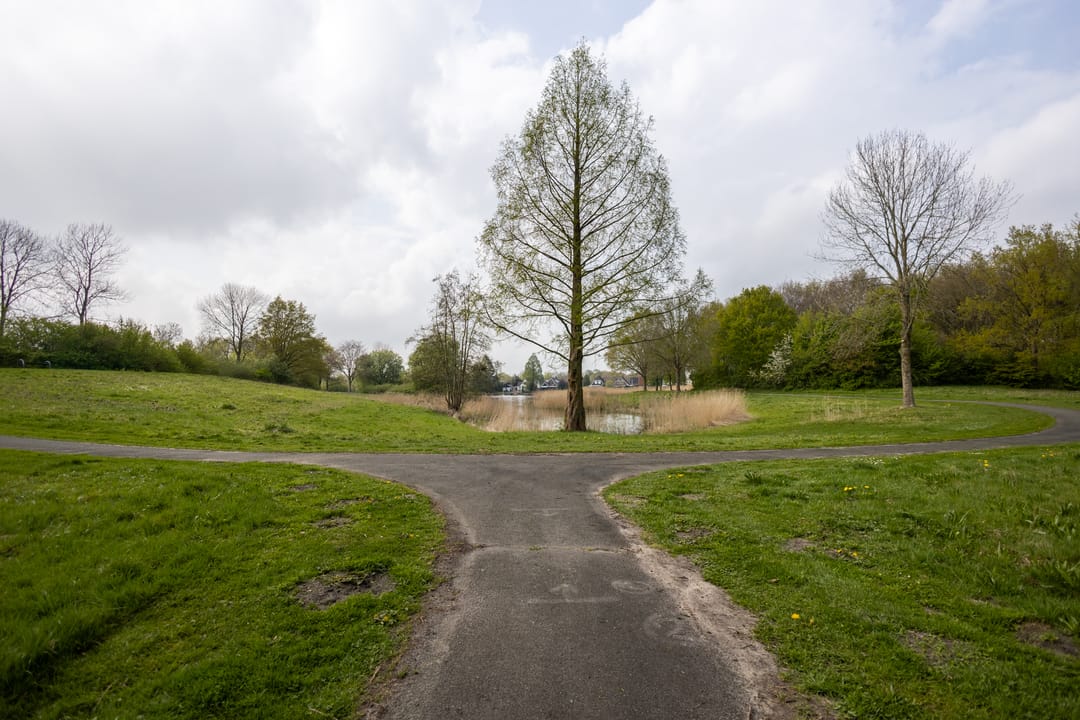 Photo 38 of Wedderweg 113