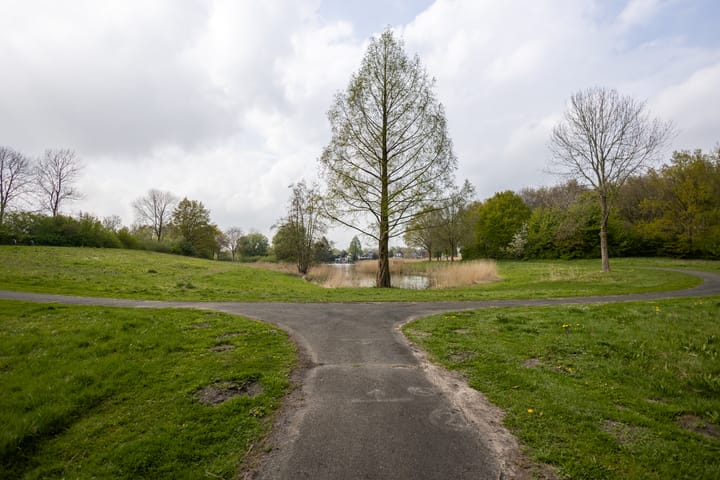 Foto 38 van Wedderweg 113