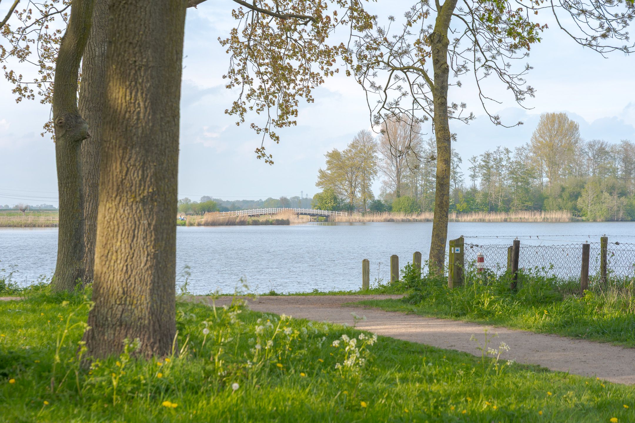 Foto 54 van Punterdiep 65