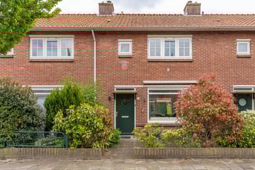 Adelaarstraat thumbnail