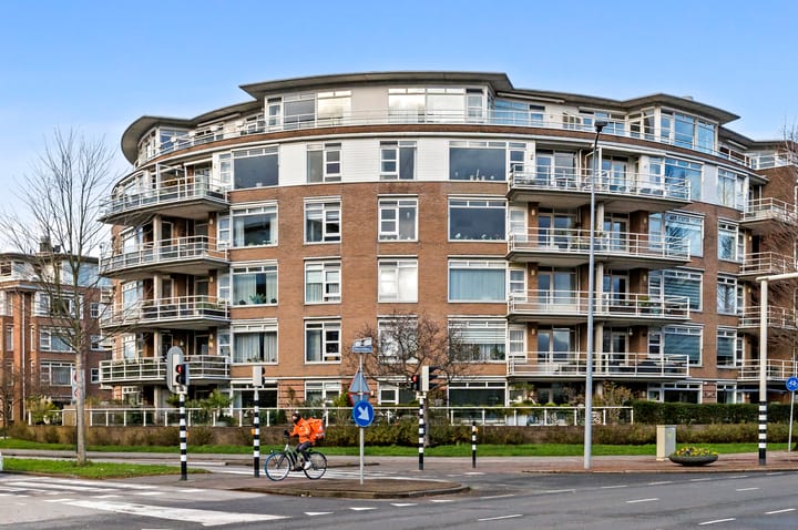 Photo 1 of Buizerdlaan 263