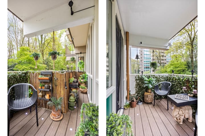 Foto 22 van Koningsberg 41