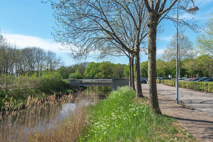 Foto 4 van Muiderbos 222