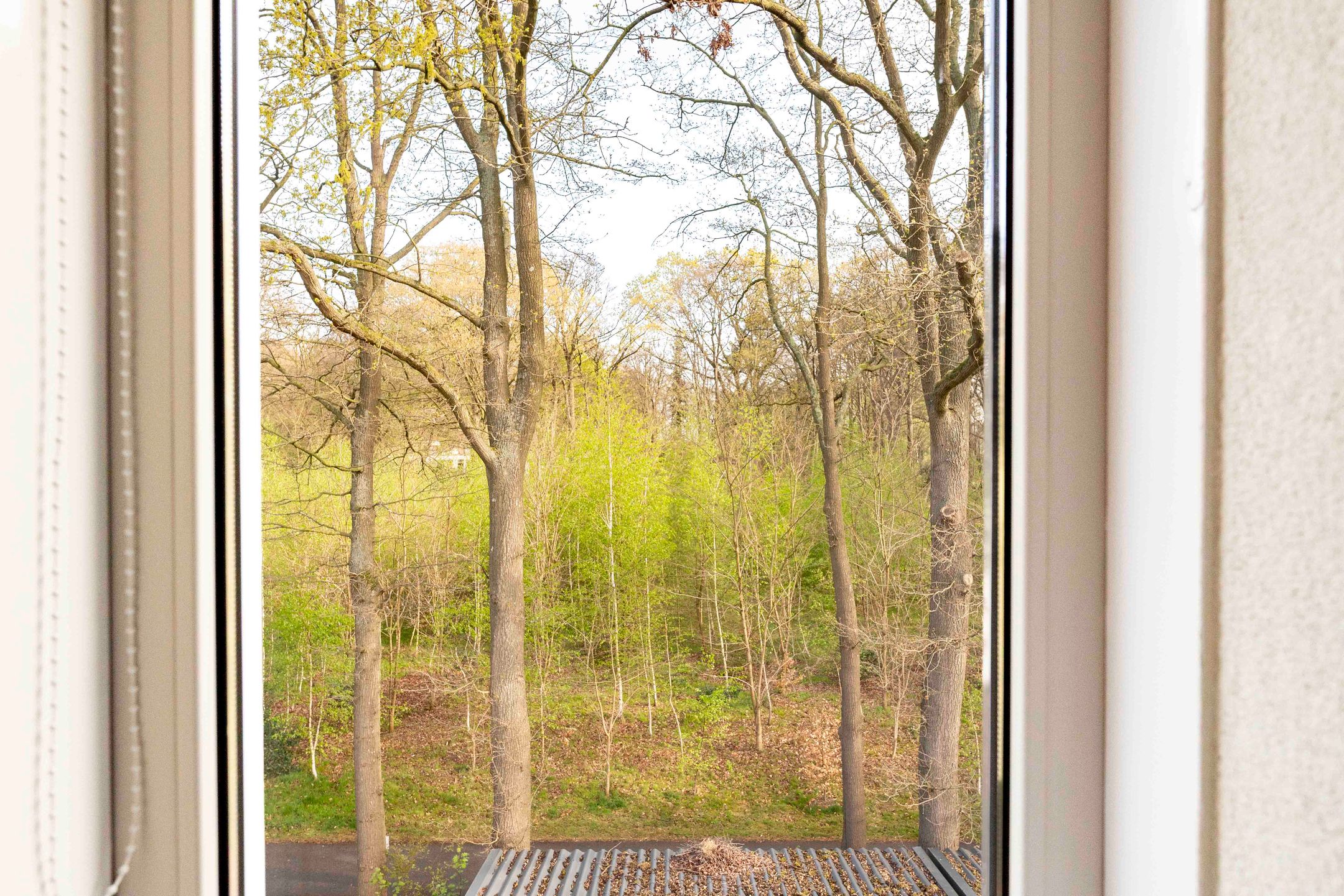 Foto 24 van Het Sparrenbos 45