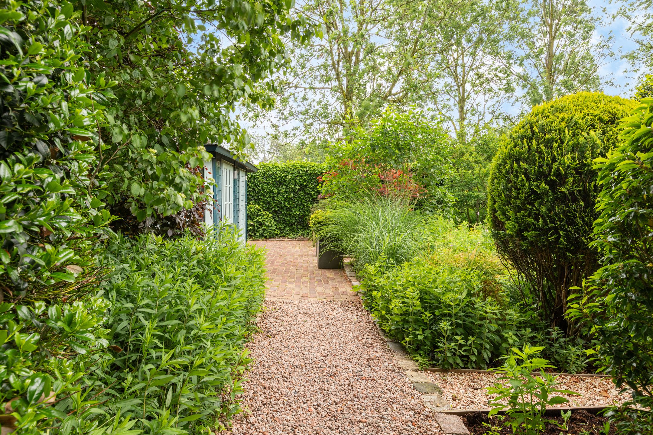 Foto 78 van Karekiet 2