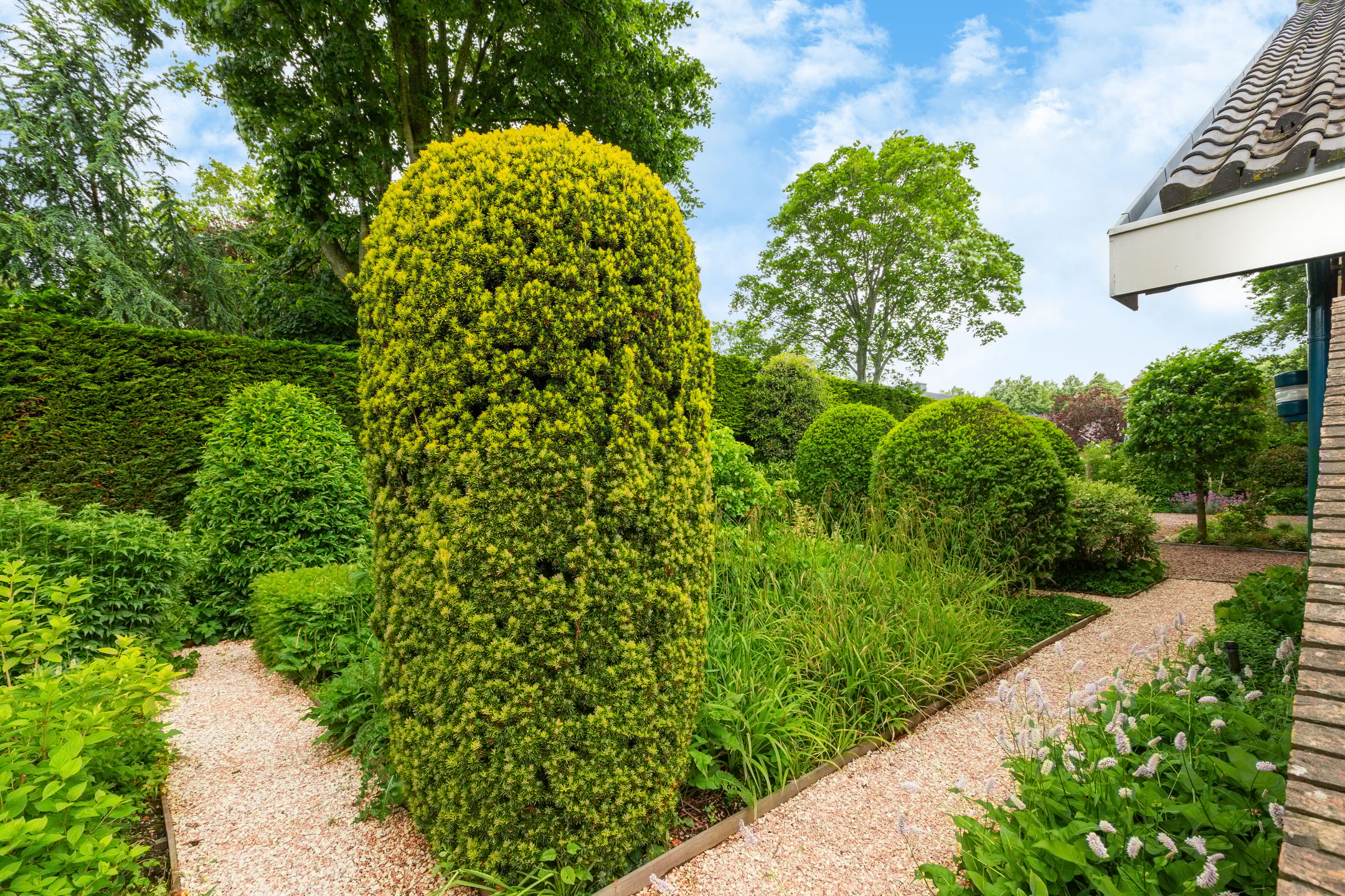 Foto 81 van Karekiet 2