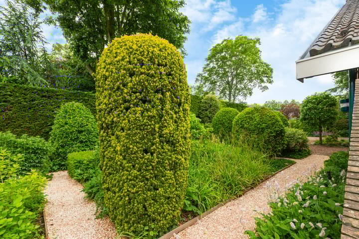 Foto 81 van Karekiet 2